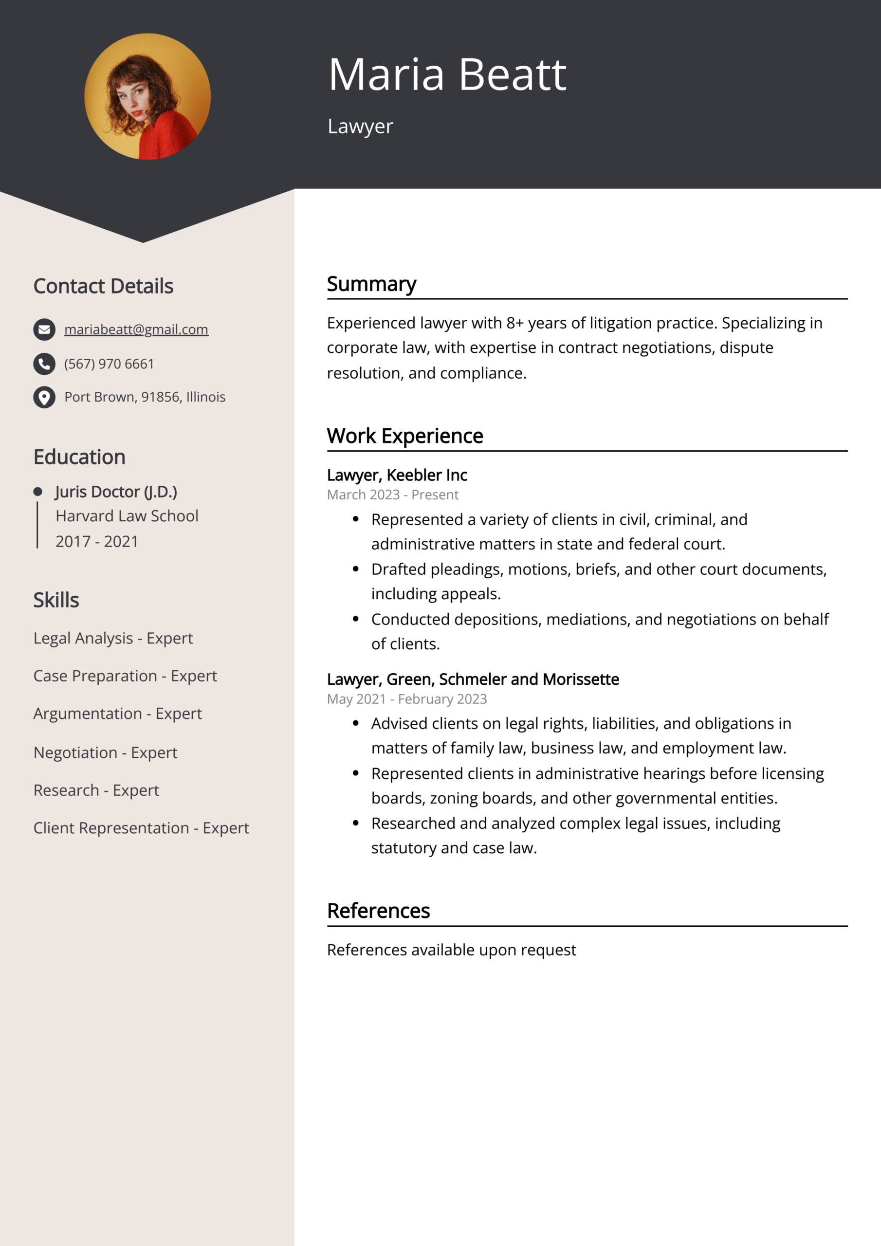 Example Lawyer Resume Template Example Lawyer Resume Template