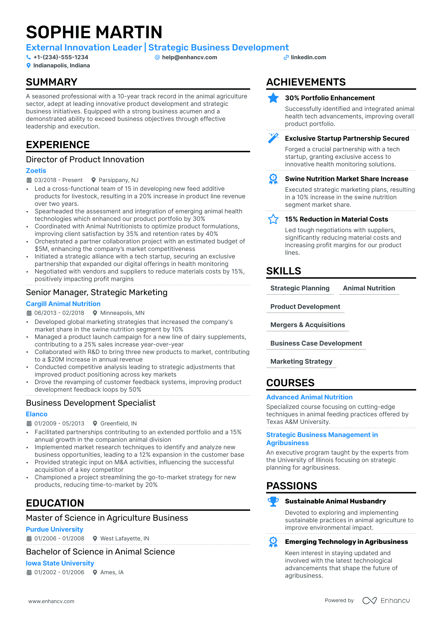 Executive Resume Template Executive Resume Template