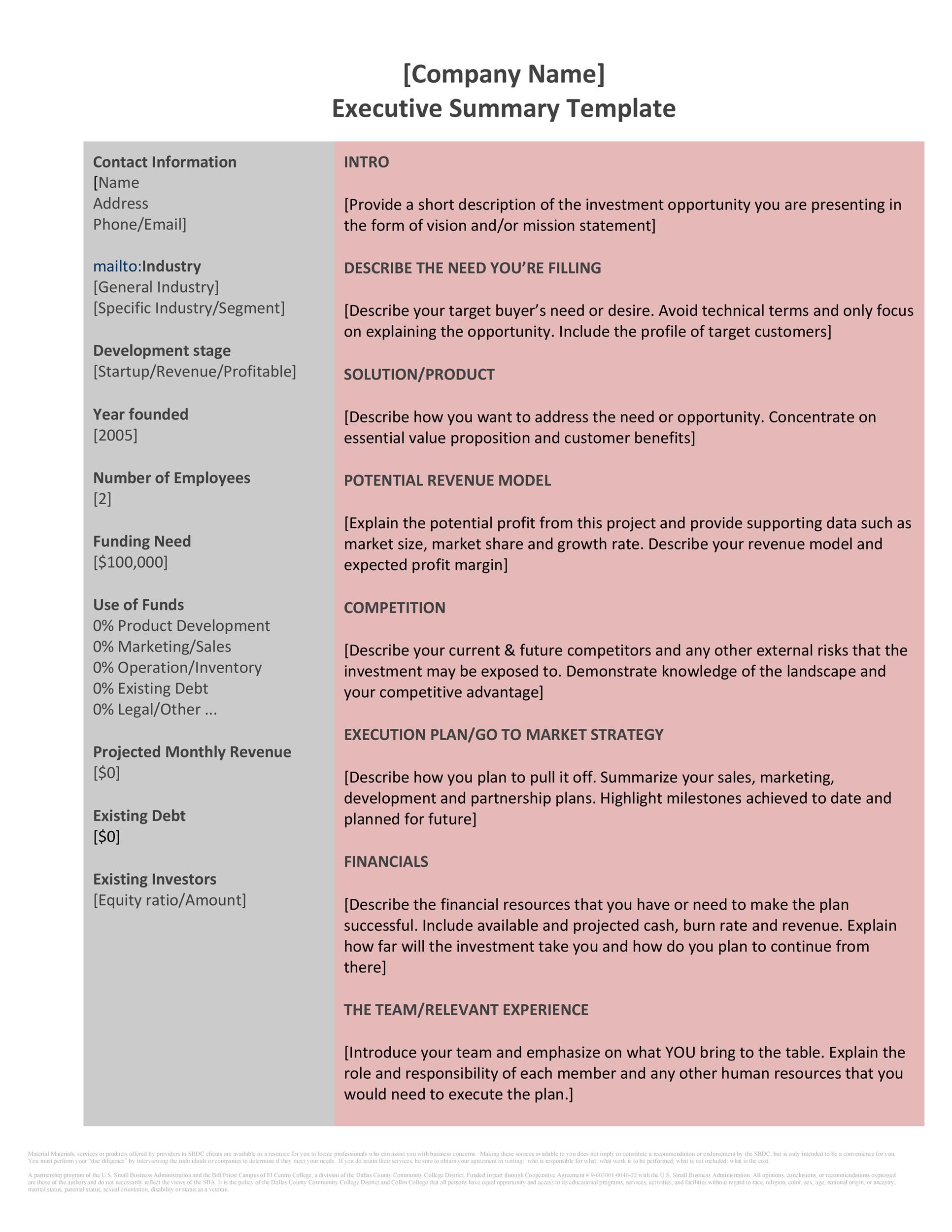Executive Summary Template Example