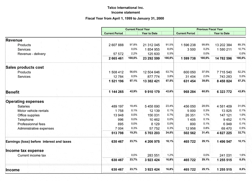 Financial Report Template Example Financial Report Template Example