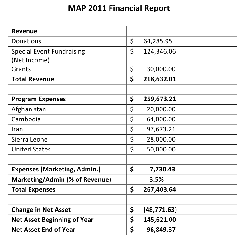 Financial Report Template Sample Financial Report Template Sample