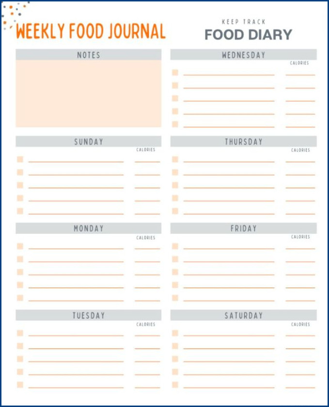 Food Journal Template Example