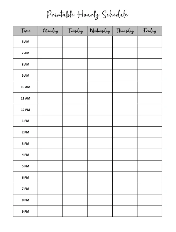 Hourly Schedule Template Example