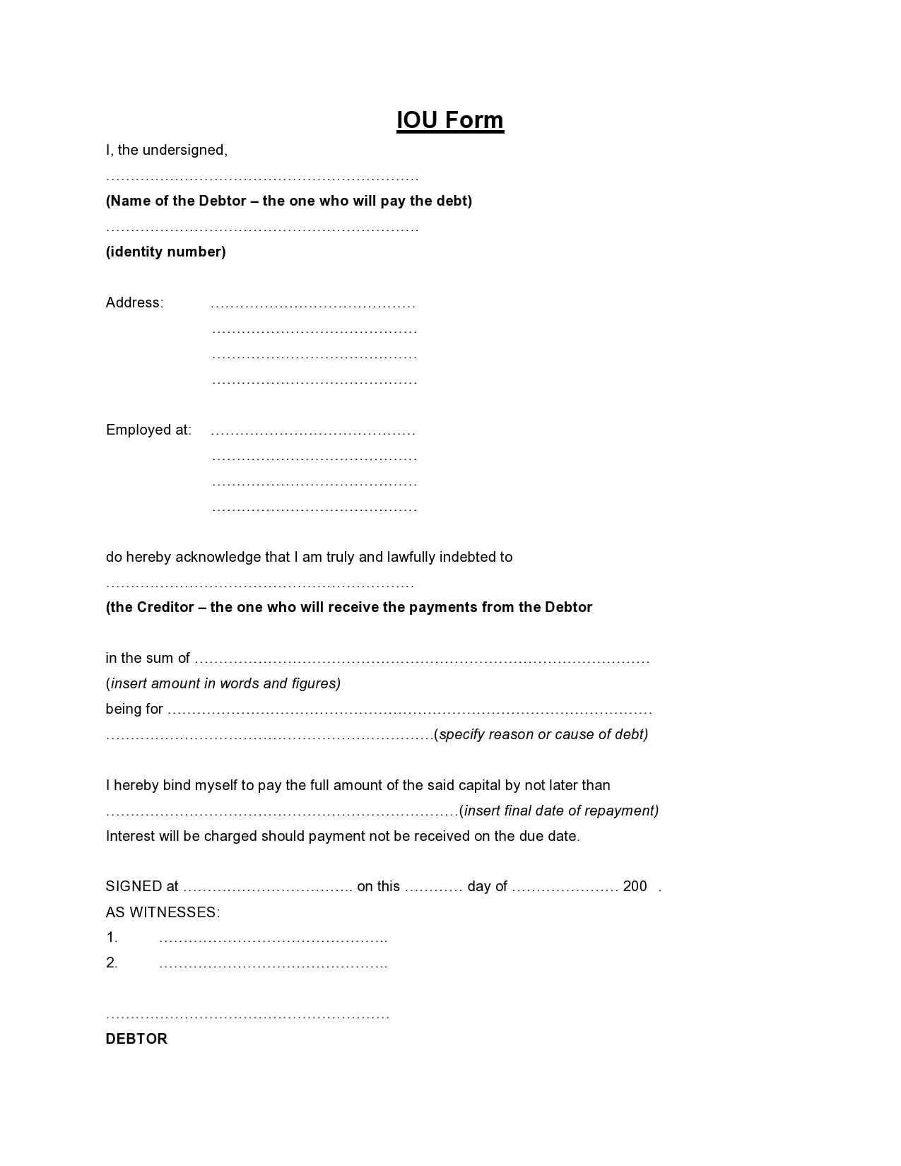 IOU Template Example IOU Template Example