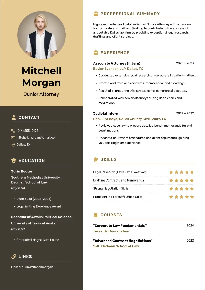 Lawyer Resume Template Lawyer Resume Template