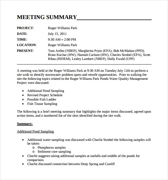 Meeting Summary Template Meeting Summary Template