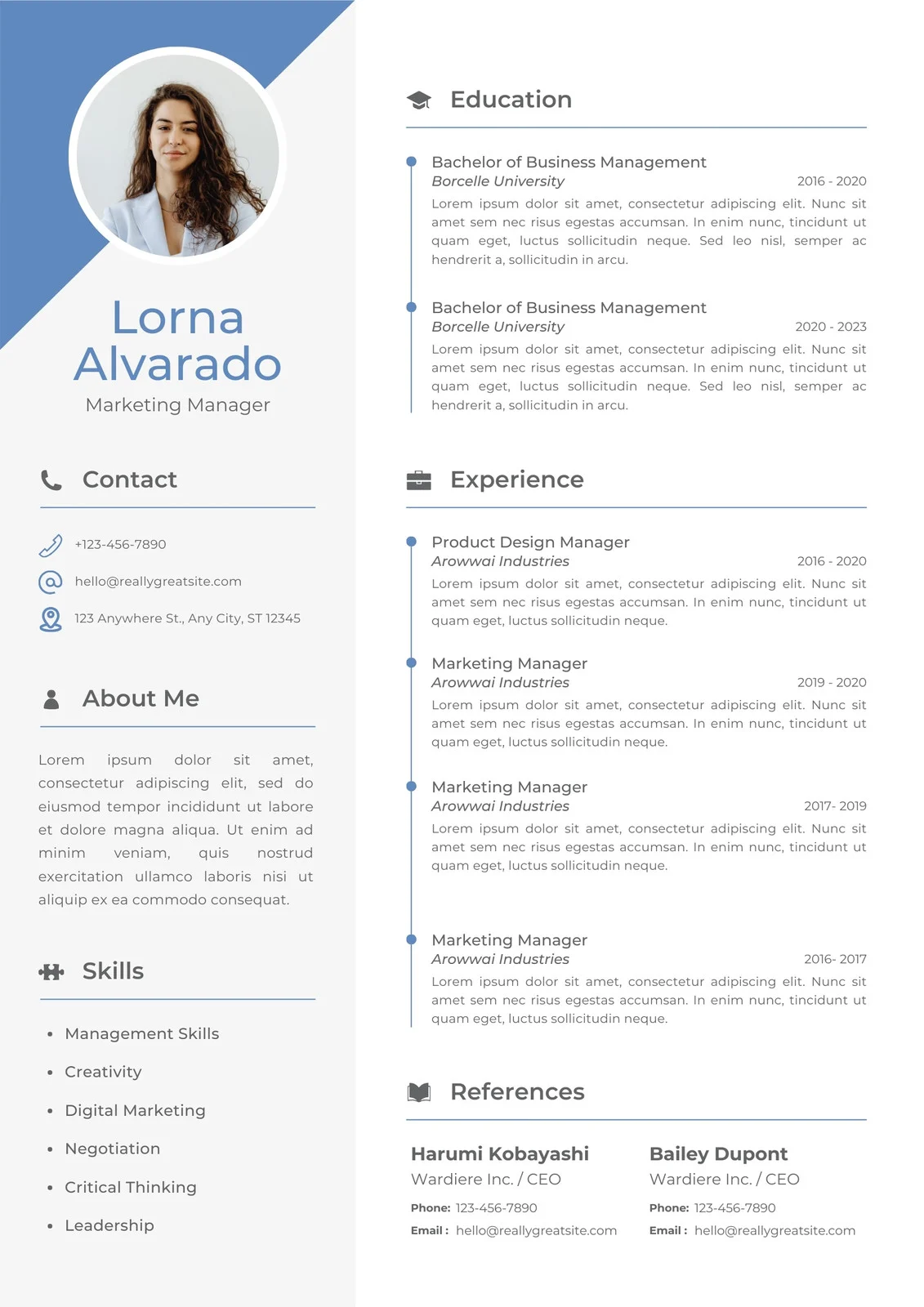 Modern Resume Template Example Modern Resume Template Example