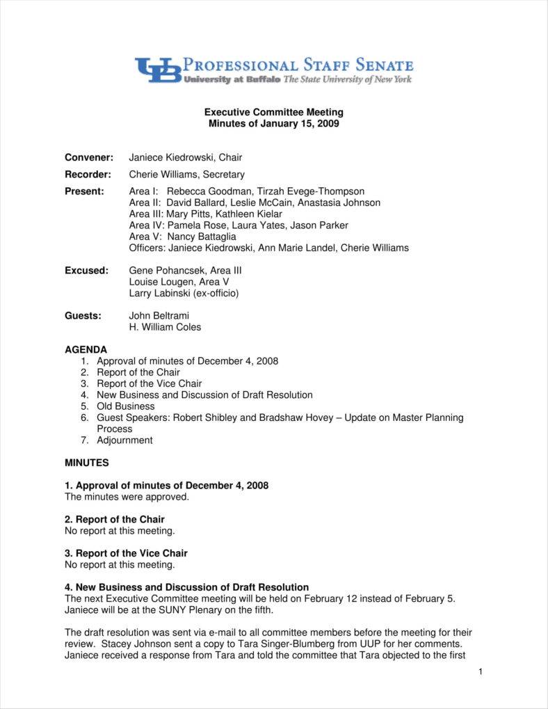 Sample Meeting Summary Template Sample Meeting Summary Template
