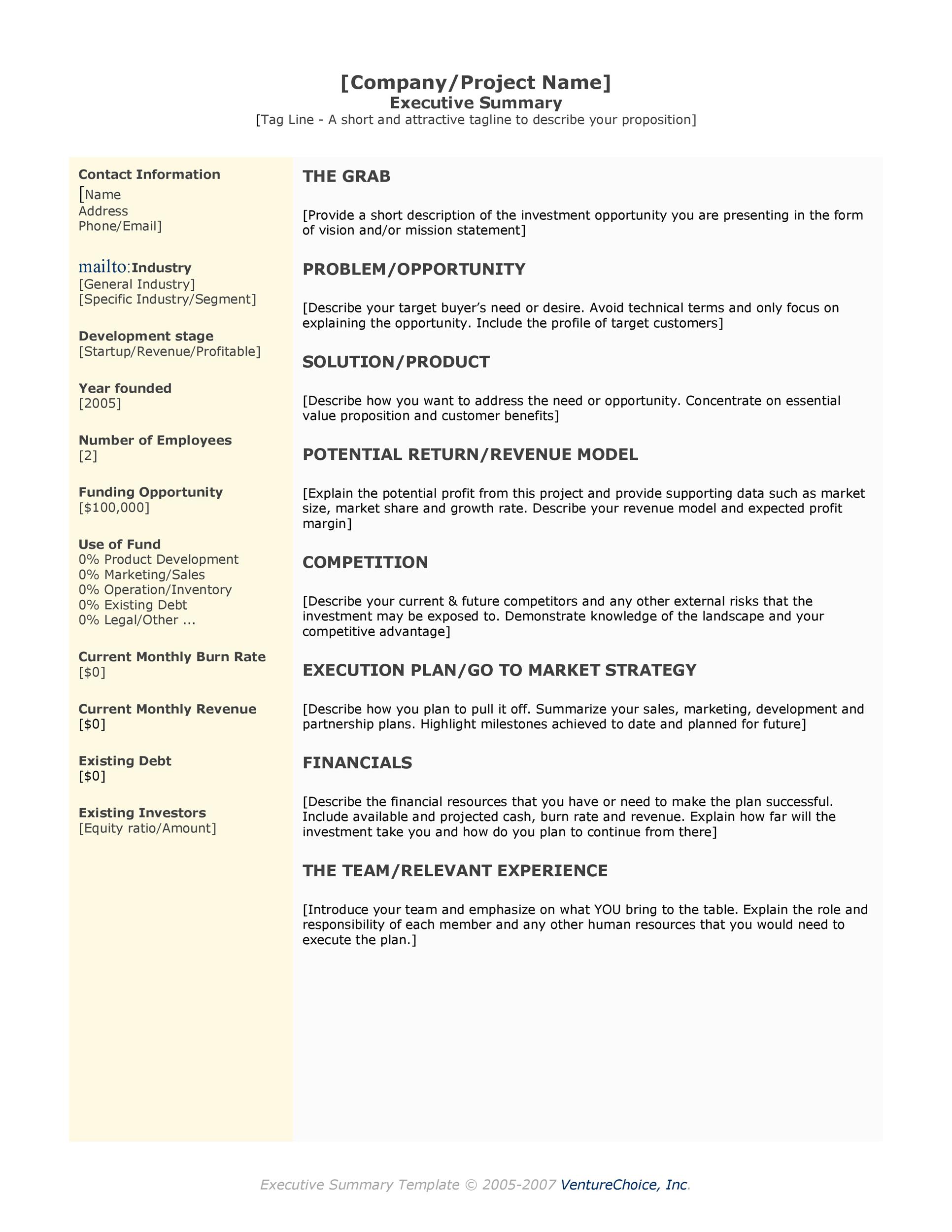 Sample of Executive Summary Template