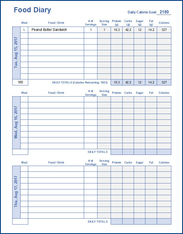 Sample of Food Journal Template