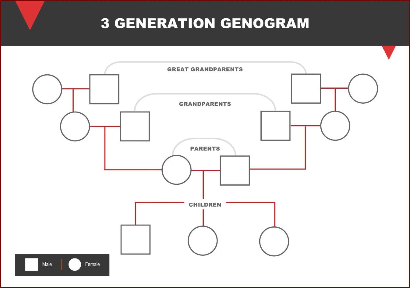 Sample of Genogram Template
