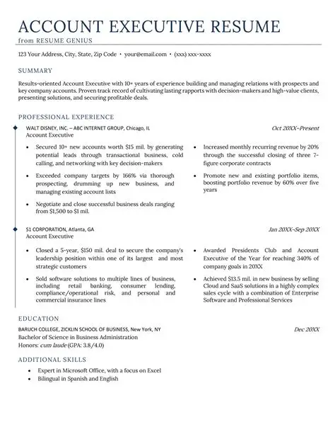 executive level resume executive level resume