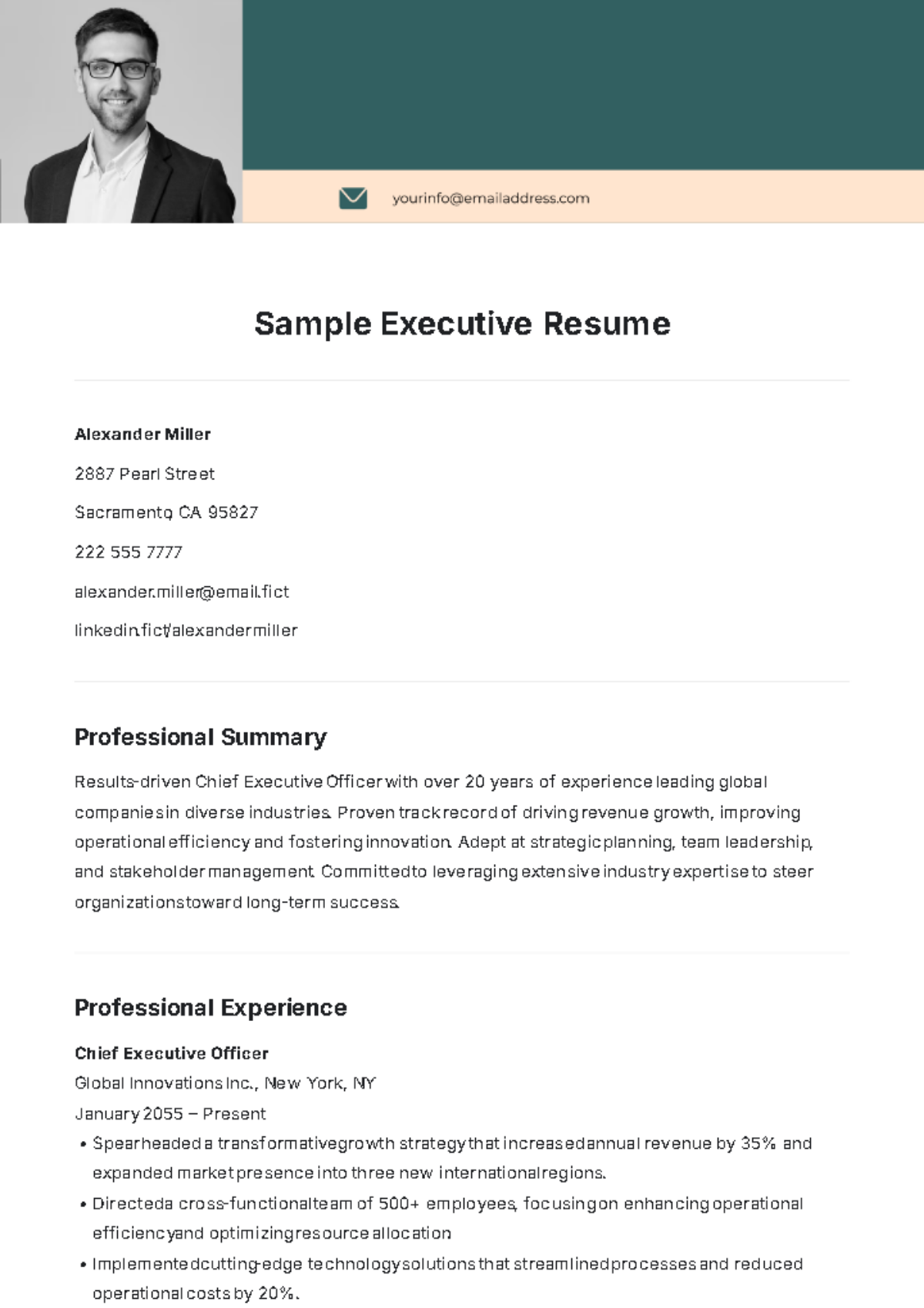 health care executive resume template health care executive resume template